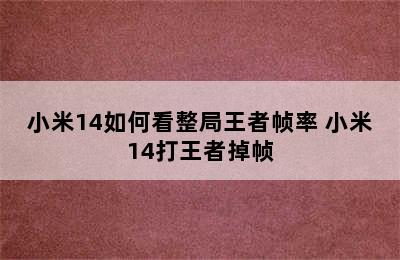 小米14如何看整局王者帧率 小米14打王者掉帧